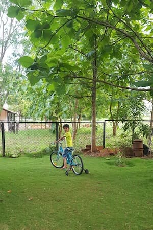 Krishna