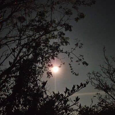 The Gentle, Fierce Night