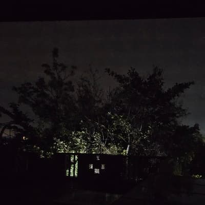 What You Tell Yourself In the Dark