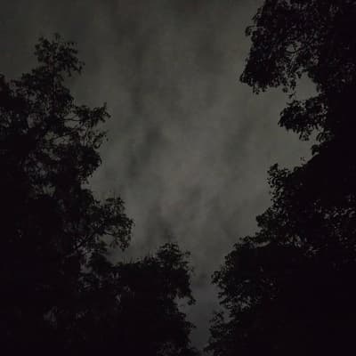 The Void